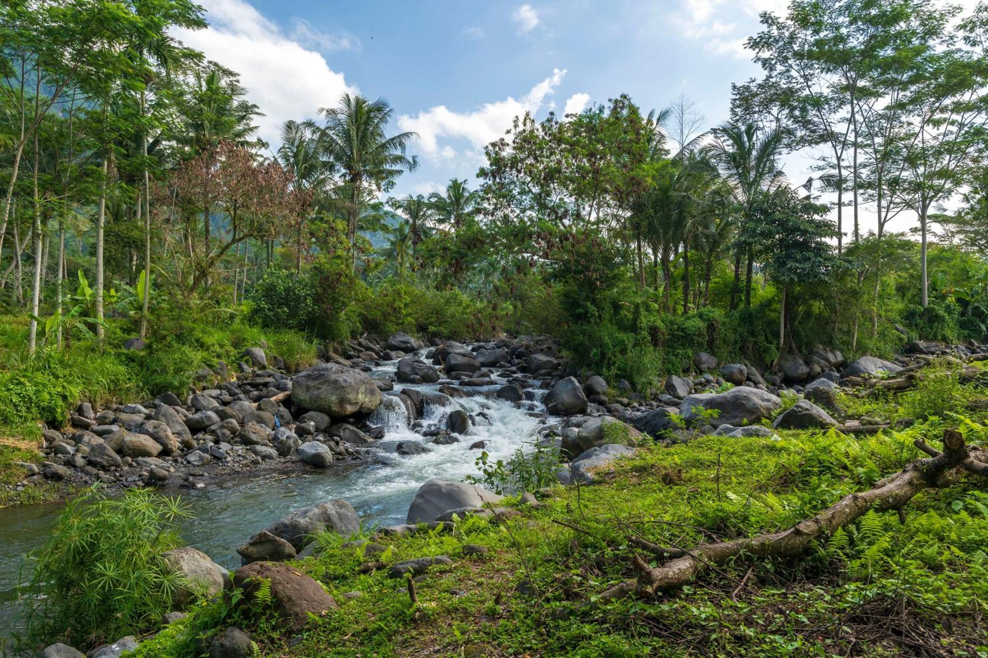 Wapa di Ume Sidemen Sidemen (Bali) Exterior foto The river in the village of Kupapah